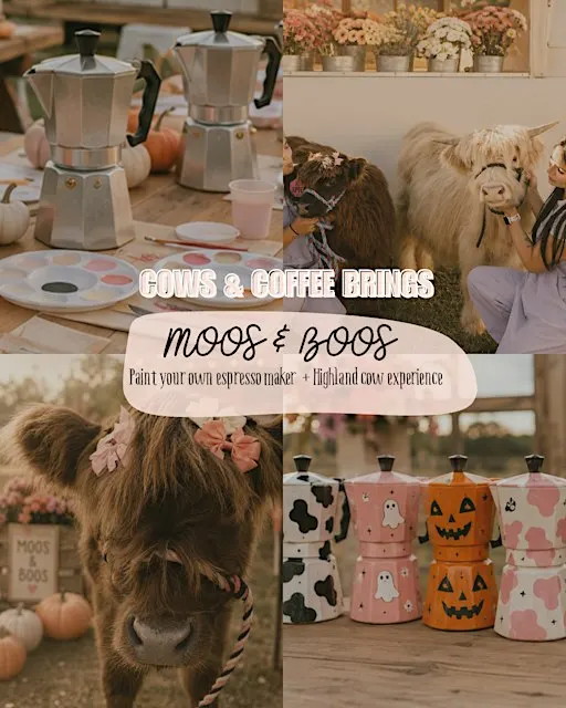 Moos And Boos Cows and Coffee
