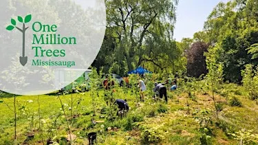 One Million Trees Planting Event at Erindale Park