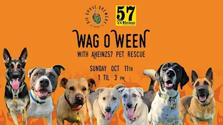 Wag-o-Ween with AHeinz57 Pet Rescue | Big Grove Des Moines