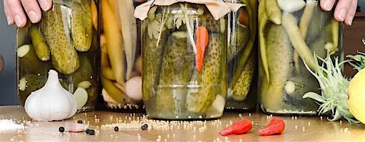 Pickling Class at Picklefest by Slipstream Brewing