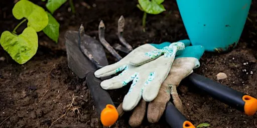 GreenFingers - Christchurch Group at Mudeford Woods