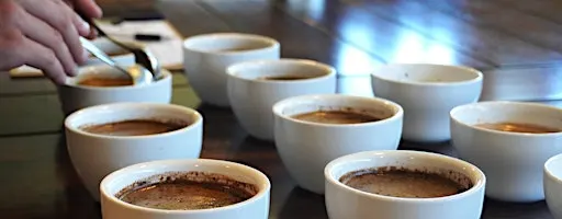 Coffee Tasting Workshop
