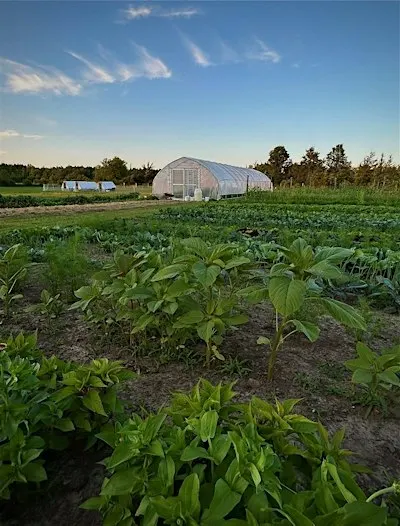 Harvest On-Farm Dinner