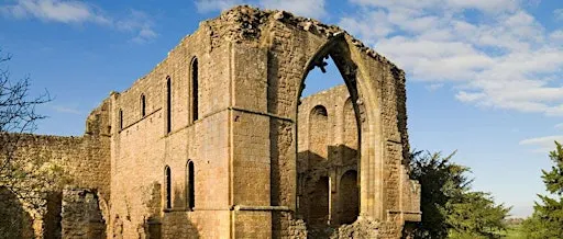 Lilleshall Abbey - a guided tour.