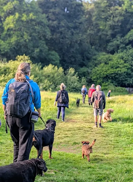 Waggy Walk at National Trust Parke