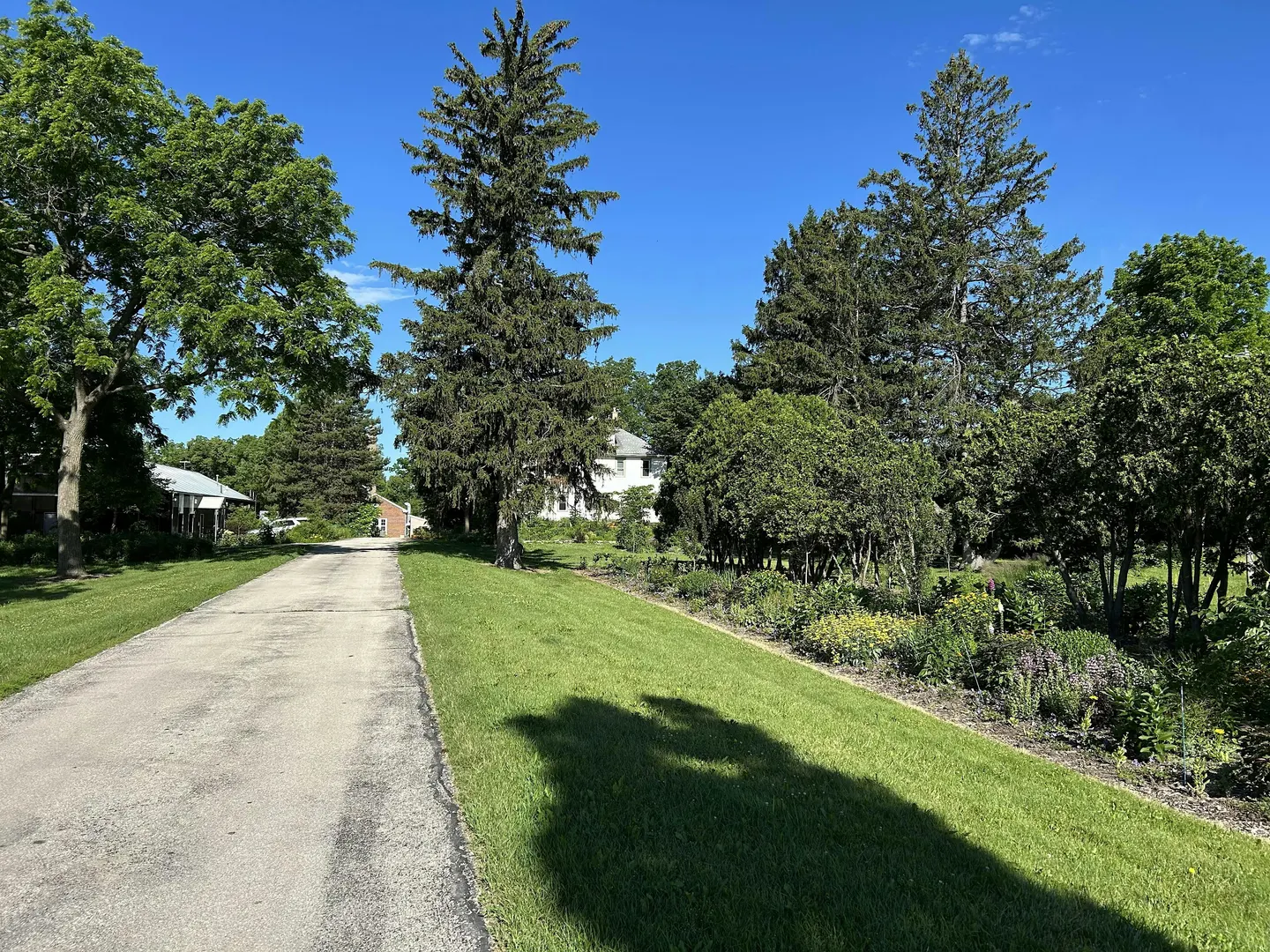 DPW Forestry Nursery - Sun @ 4 pm