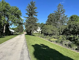 DPW Forestry Nursery - Sun @ 11 am