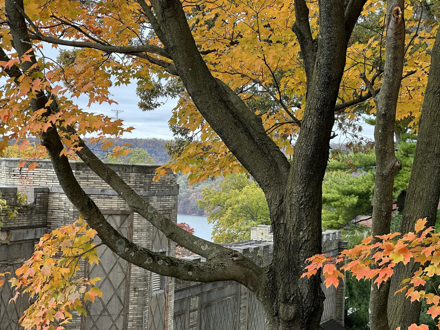 Early Morning Phone Photography with John Jacono - Oct 17, 8-9:30am