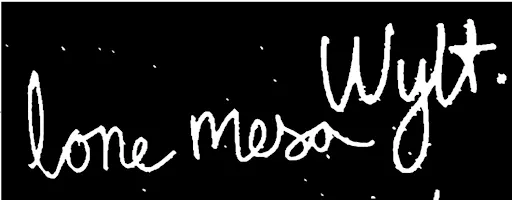 Wylt, Lone Mesa & Moochin at The Holloway