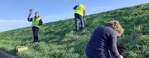 Little Cheyne Wind Farm Habitat Work
