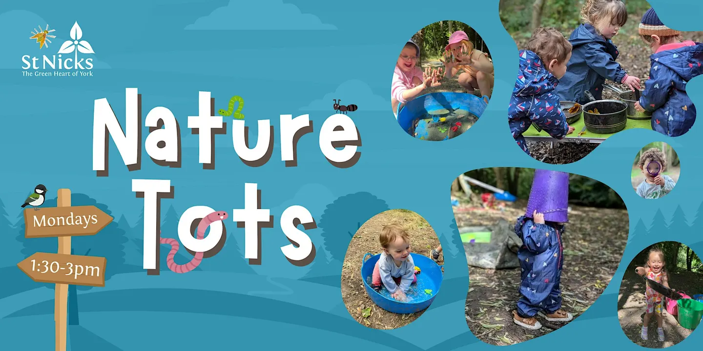 Nature Tots - Autumn Sessions!
