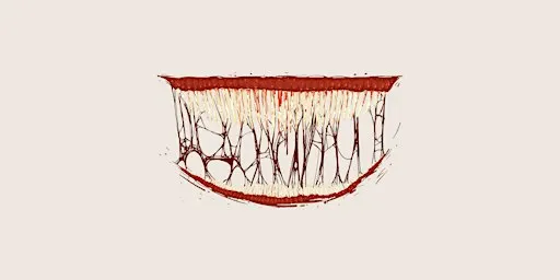 The Psychology of Horror Movies: How horror speaks to the subconscious