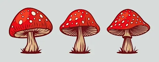 Mushroom Stained Glass Class