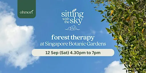 Forest Therapy & Bathing: Sitting with the Sky (Saturday 12 September)