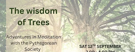 The Wisdom of Trees - adventures in Meditation with the Pythagorean Society