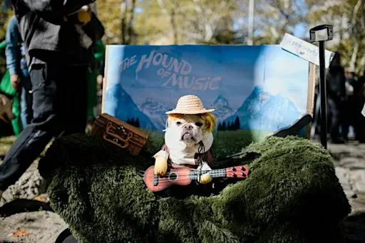 28th Annual Great PUPkin Dog Costume Contest