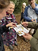 Fungi Walk