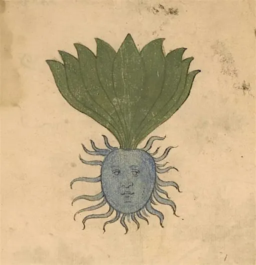 THORNFEST – Anointing Oil & Herbalism Workshop