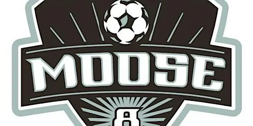The 13th Annual Josh Thibodeau 4 v 4 Soccer Tournament