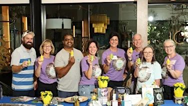 Holistic Hub Wellbeing Fest, Sponsored by Holistic Dental Wellness