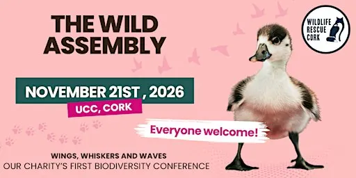 The Wild Assembly: Wings, Whiskers & Waves