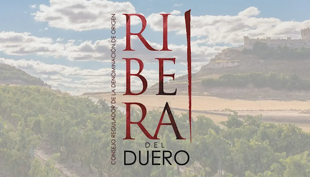 Masterclasses Ribera del Duero – Proefschrift Theater | Dinsdag
