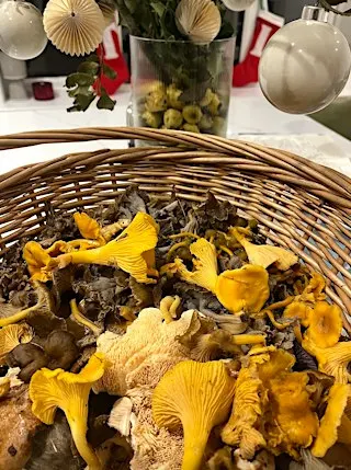 15th Nov 2026: Autumn Foraging & Feast Workshop