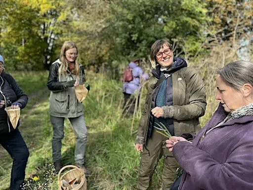 Autumn foraging walk in People's Park