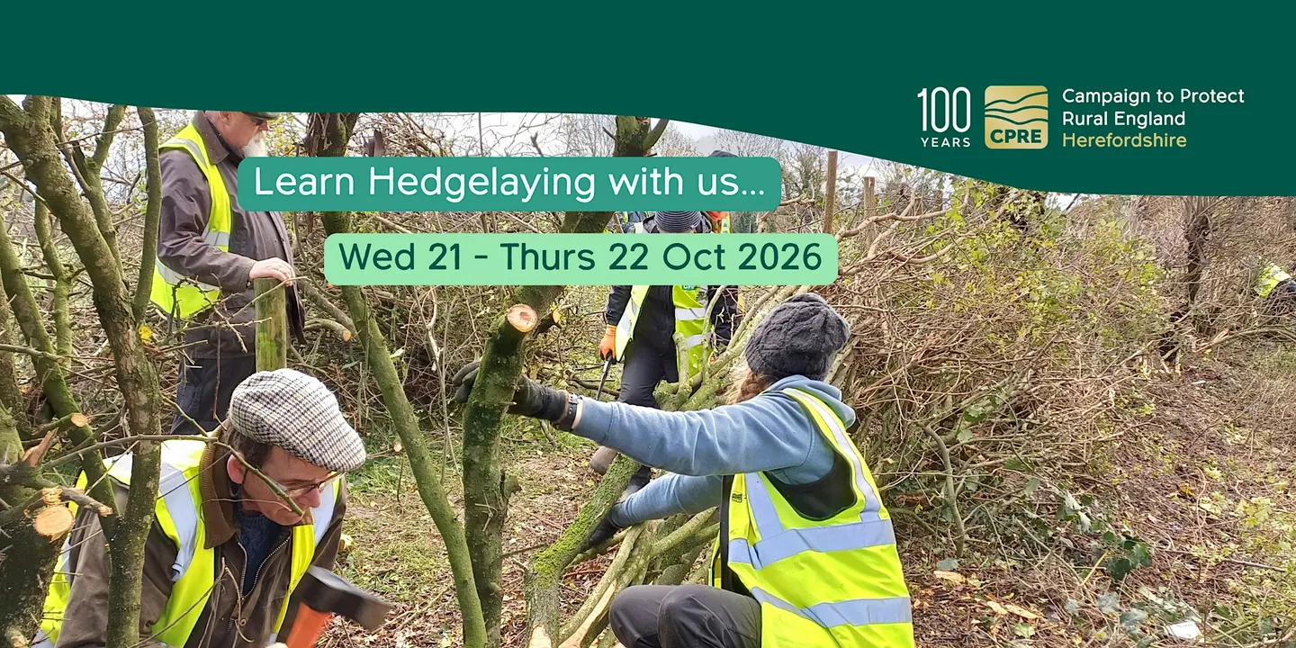 Hedgelaying 2-day course in North Herefordshire 21-22 Oct