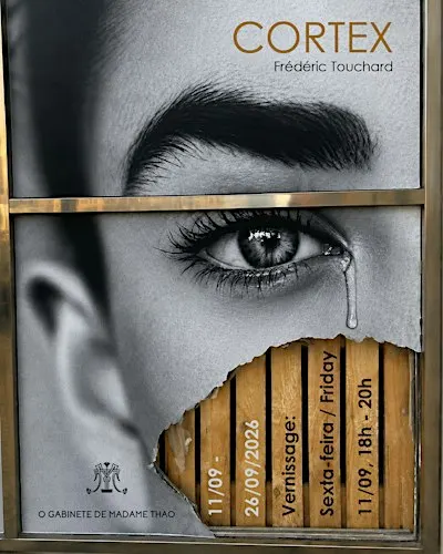 CORTEX, solo exhibition by Frédéric Touchard