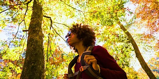 Mindfulness Stroll (Adults & Ages 8+)