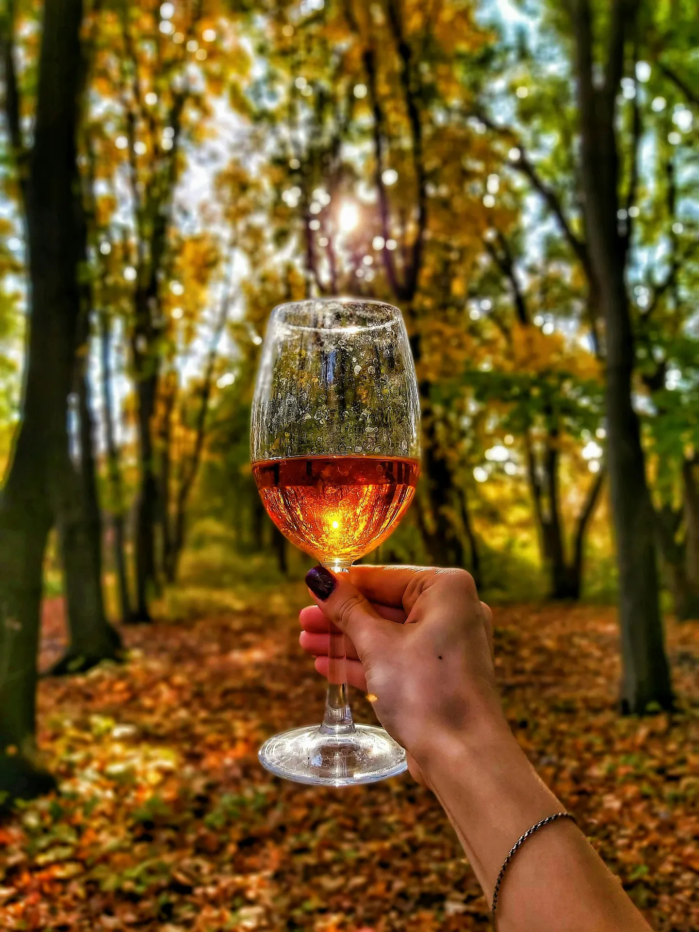 Fall Favorites: Wines for Autumn