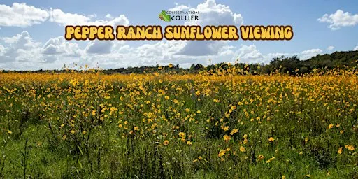 Pepper Ranch Sunflower Viewing Event 2026