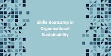 Skills Bootcamp in Sustainability - Cornwall intro session