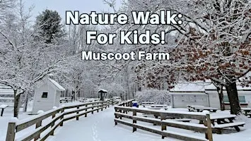 Nature Walk: For Kids!