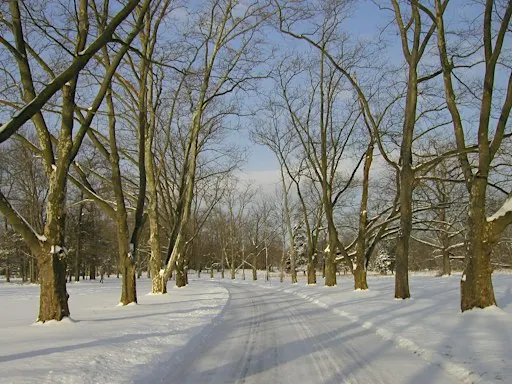 Winter Solstice Walk