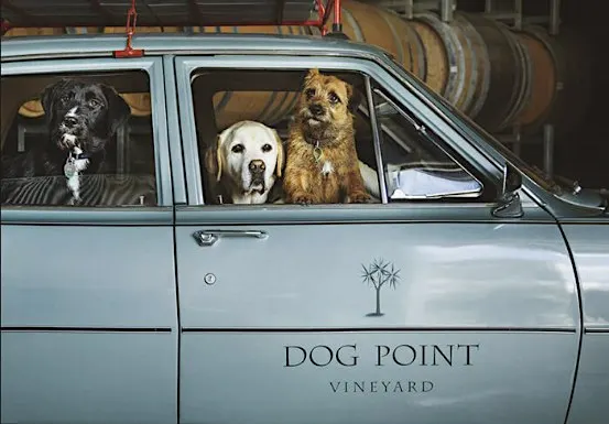 Discover Dog Point Vineyard