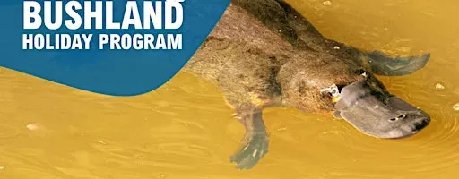 Holiday Program: Little Scientists - Platypus
