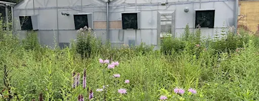 Garden Dreams Volunteer Clean Up