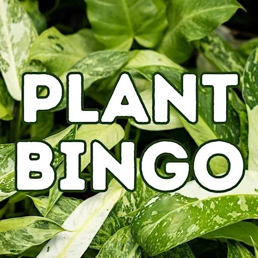 Plant Bingo