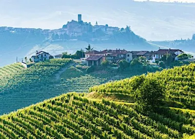 Discover the Wines of Piemonte, Italy