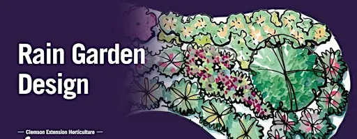 Rain Garden Design