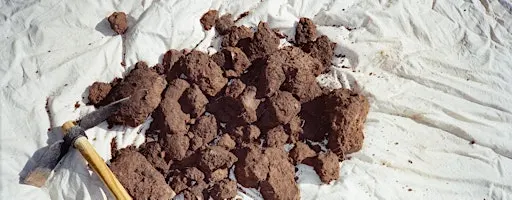 Mud Club Harvest - Three Week Course