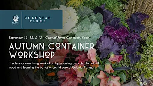 Autumn Container Workshop