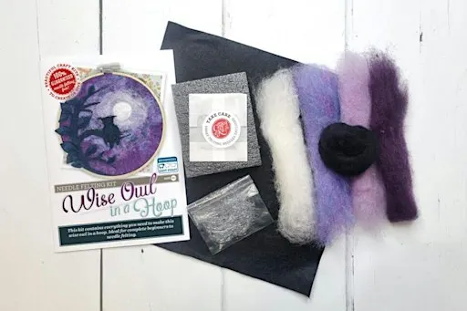 Painting with Wool! Learn to Needle Felt Class