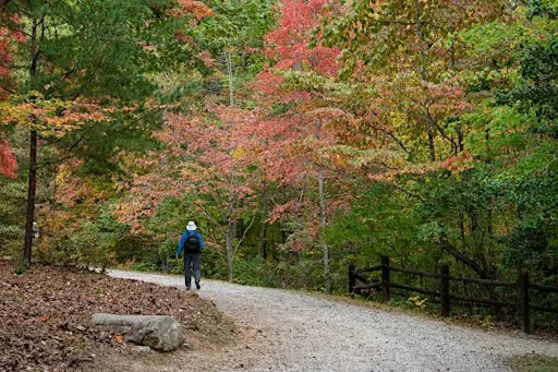 Introduction to Appalachian Ecology