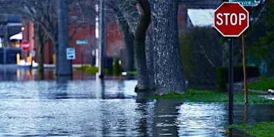 Residential Flood Insurance for the LA Dweller Real Estate Agent CE Class