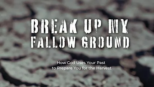 Boekpresentatie & Pre-Order: Break up My Fallow Ground