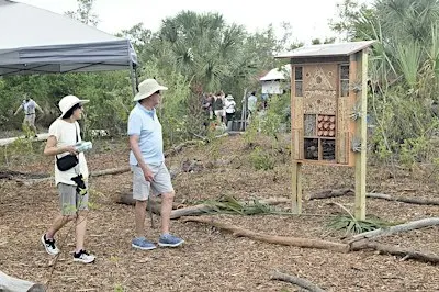 The Landings Microforest Project