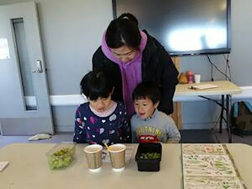Naze pop-up Seashore Science Lab